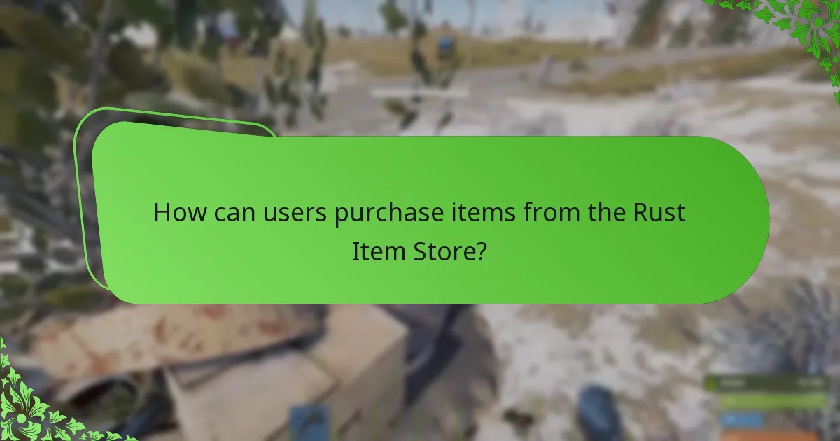 How can users purchase items from the Rust Item Store?