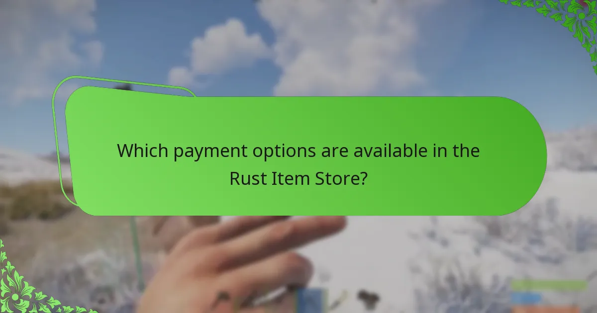 Which payment options are available in the Rust Item Store?